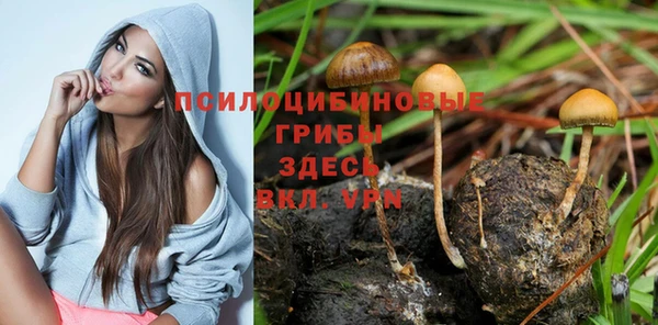 mdma Няндома