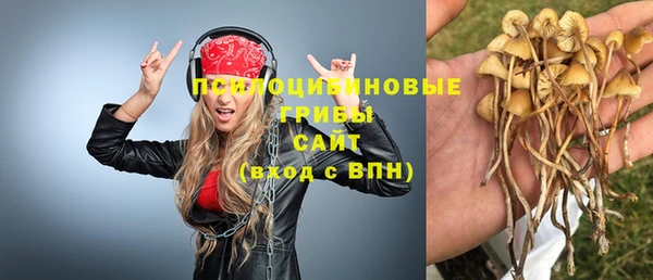 мяу мяу кристалл Нягань